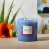 28oz Glass Moonlit Hibiscus Candle Light Blue - Opalhouse™ -Opalhouse Store GUEST 2c95080b 9726 45aa 9b0e 3946015c92e0