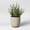 Textured Ceramic Planter Pots White - Opalhouse™ -Opalhouse Store GUEST 81b3ab19 db4f 409c 9397 ff90f528d623